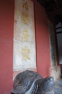 典故,孫權(quán),永遇樂