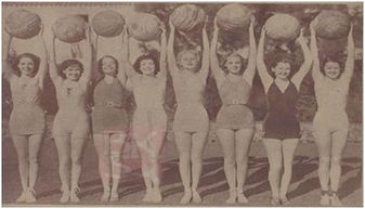 典故,鼻子,美人