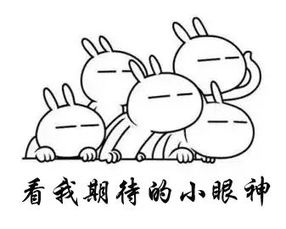 關(guān)于蘋果的典故