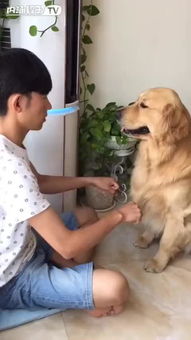 臥槽泥馬的典故