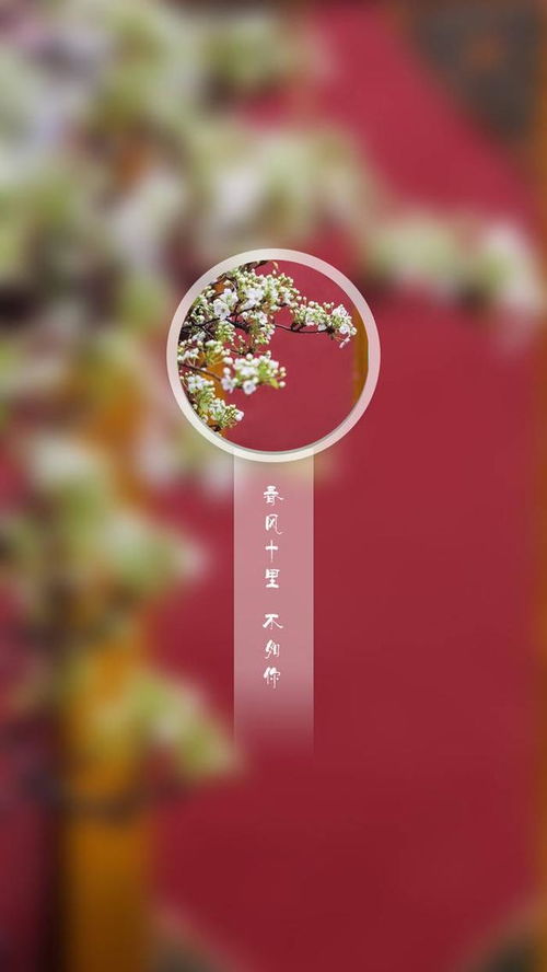 春風(fēng)十里的典故