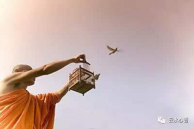 孤山放鶴什么典故,孤山閑放鶴的典故,歸舟放鶴是什么典故