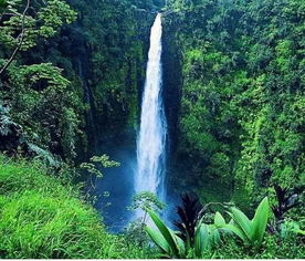 廬山瀑布,廬山秀峰瀑布,廬山瀑布簡筆畫