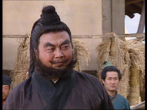 張飛的經(jīng)典故事有哪些,張飛的經(jīng)典故事情節(jié),張飛的經(jīng)典故事名稱