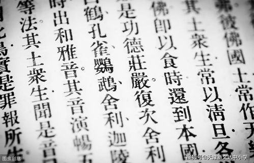 典故,成語,區(qū)別