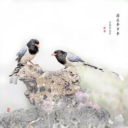 幾遭鳥(niǎo)典故