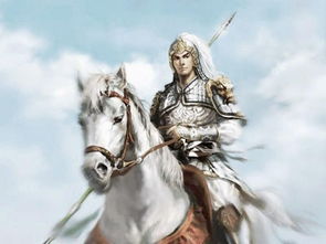 關(guān)于趙云的典故有哪些,有關(guān)趙云的典故,趙云的典故成語(yǔ)