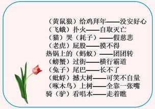 含有典故的歇后語,關(guān)于三國的典故和歇后語,關(guān)于典故的歇后語有哪些?