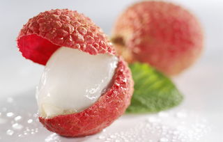 楊貴妃吃荔枝的典故,楊貴妃吃荔枝的典故,楊貴妃荔枝典故詩句