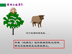 人生哲理,故事,經(jīng)典