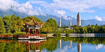 有關(guān)鳳凰的典故,鳳凰戴孝的典故,梧桐樹和鳳凰的典故