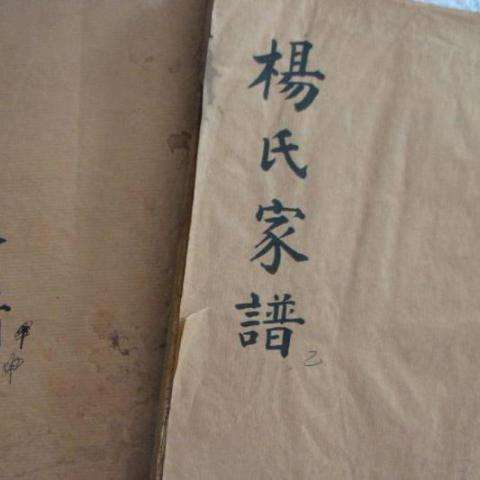 典故,起源,楊氏