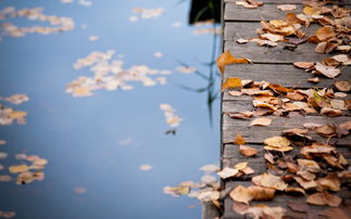 大恩如大仇的典故