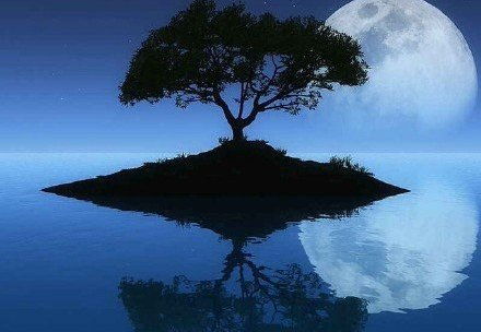 仙人桂樹的典故