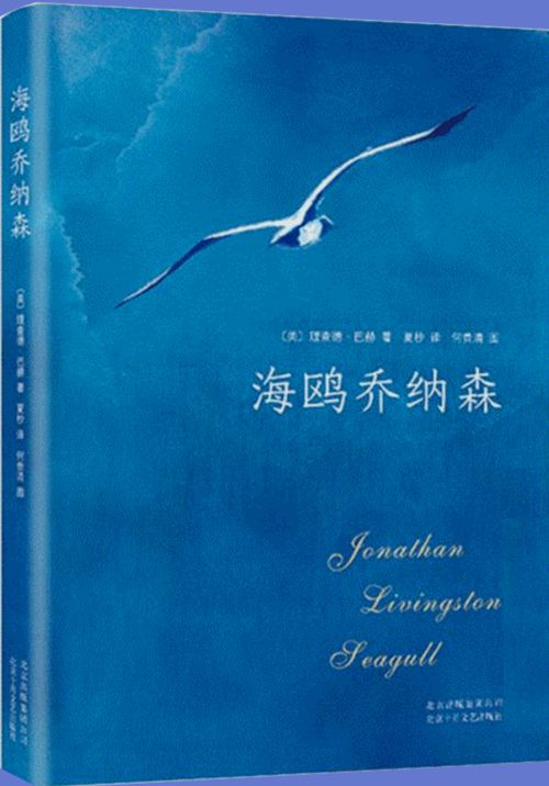 追求的經(jīng)典故事