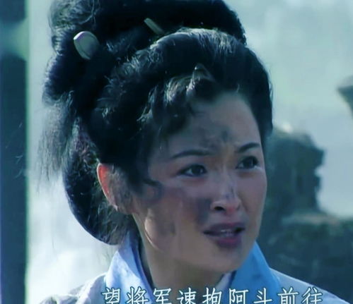 阿斗,典故,趙云