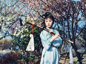 林黛玉,故事,經(jīng)典