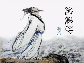 蘇軾蝶戀花典故