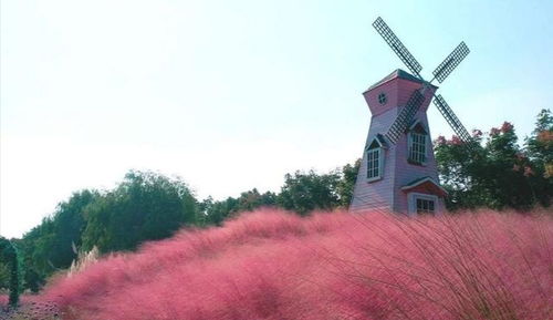 涇渭不分的典故