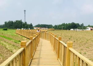 典故,點(diǎn)將臺(tái)