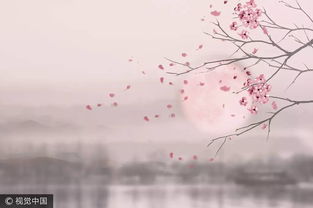 象征美好愛情的典故,象征希望的典故,象征自由的典故