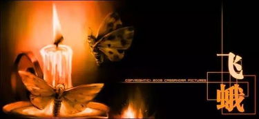 飛蛾撲火典故出處,飛蛾撲火典故,飛蛾撲火典故50字