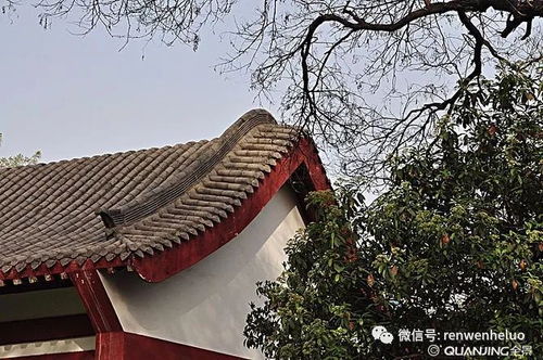 典故,詩句,騰王閣序