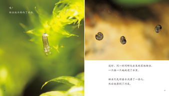 關(guān)于生命的典故,關(guān)于生命的典故簡(jiǎn),關(guān)于生命的典故50字