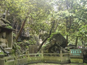 杭州立馬回頭典故,立馬回頭公交站典故,回頭的典故