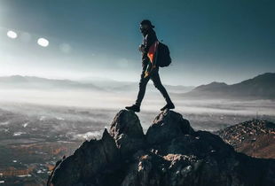 進(jìn)退維谷的典故的出處,騎虎難下和進(jìn)退維谷的區(qū)別,進(jìn)退維谷和進(jìn)退兩難的區(qū)別