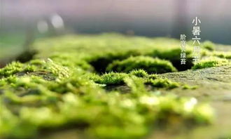 節(jié)氣,典故,相關(guān)