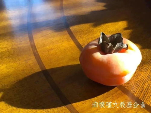 履霜堅冰至典故