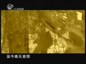 夢(mèng)中殺龍的典故是誰(shuí),夢(mèng)中化蝶典故,夢(mèng)中身典故