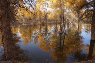 金戈鐵馬,典故,萬(wàn)里,如虎