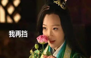 魏美人割鼻子典故,魏美人割鼻子典故成語,楚國被割鼻子的美人