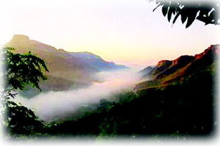 愛情典故詩(shī)句,形容愛情的典故,美好愛情的典故