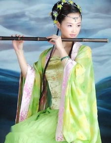 典故,成語(yǔ),弄玉吹簫