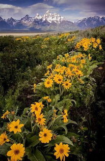 金縷曲贈梁汾典故含義及作用,金縷曲贈梁汾典故含義,金縷曲贈梁汾典故出處