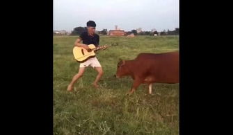 高山流水的典故和解釋,典故成語(yǔ)大全及解釋,三十六計(jì)典故及解釋