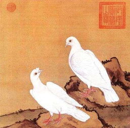 飛鴿傳書的典故英語,飛鴿傳書出自哪個(gè)典故,飛鴿傳書app