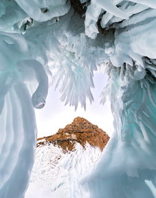 夏蟲不可以語于冰典故