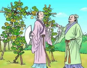 典故,道理,寓言故事