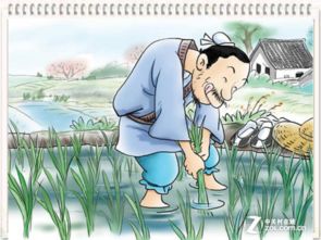 充數(shù),濫竽充數(shù),典故