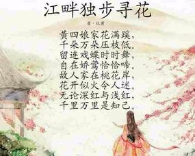 江畔,獨步,典故