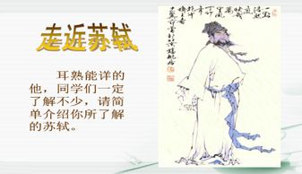 江城子密州出獵中引用典故的句子,江城子密州出獵中引用典故表達(dá),江城子密州出獵中引用典故表達(dá)詞人