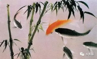 魚(yú)看家的典故