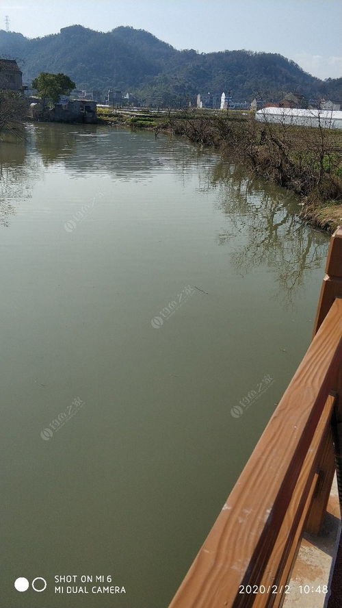 垂釣,典故,者徒有羨魚情