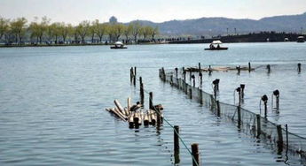 西湖有關(guān)的典故