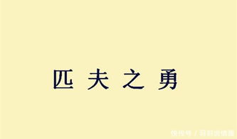 匹夫之勇的典故