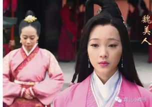 魏美人割鼻子典故,魏國美人割鼻的典故,魏美人割鼻是真的嗎